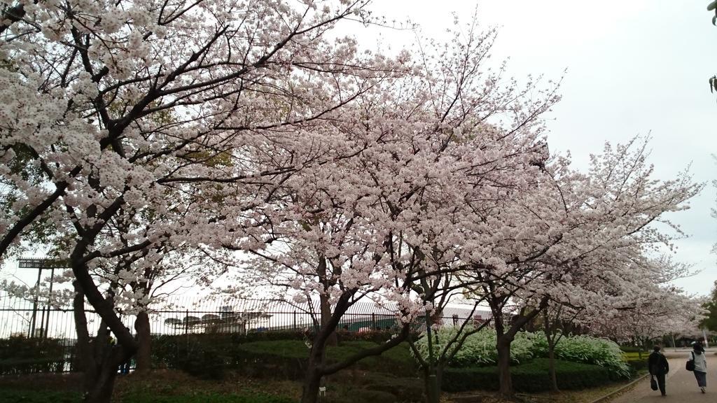 Abiko Guest House Macubara Kültér fotó